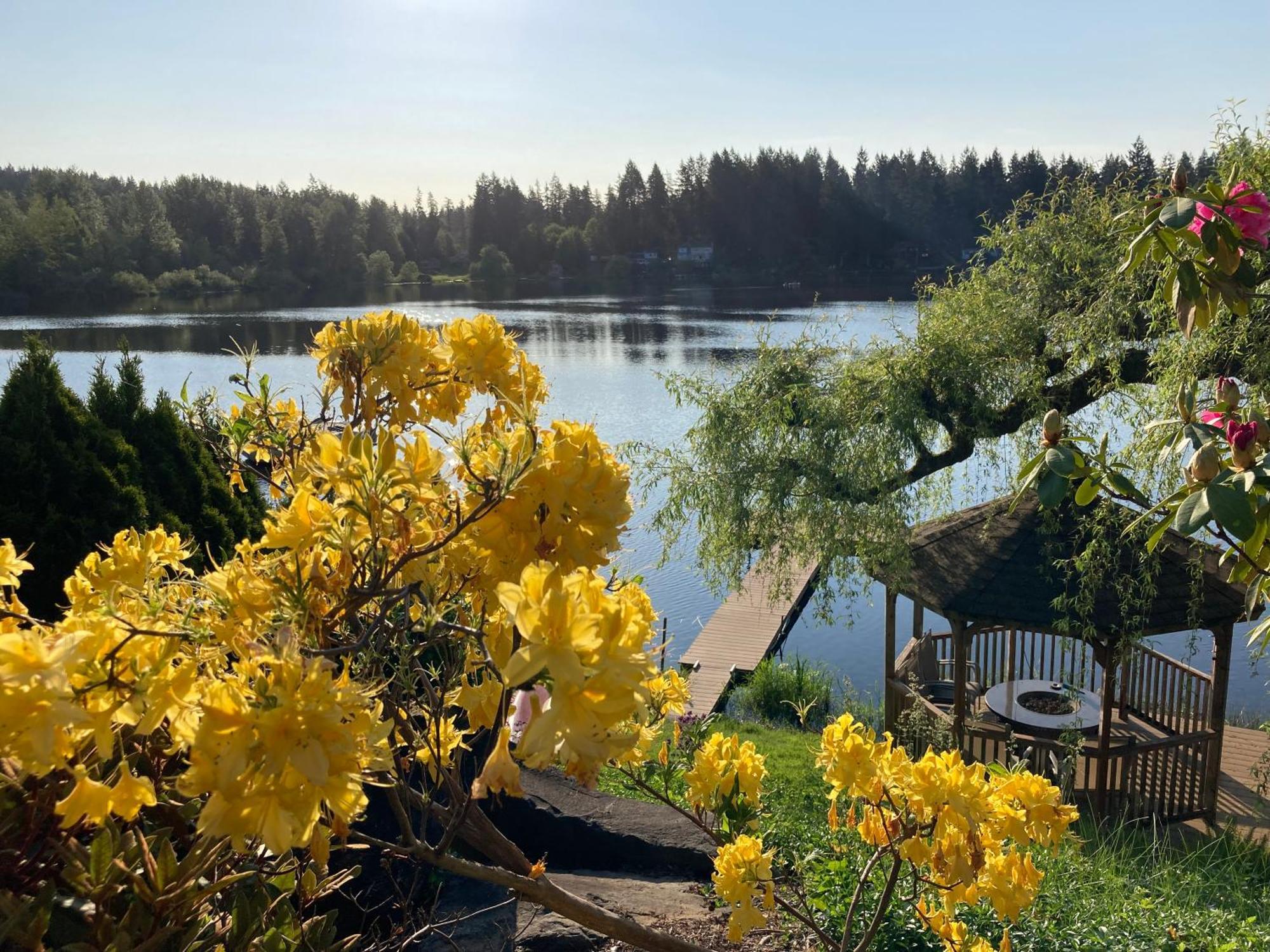 Cottage Lake Bed And Breakfast Woodinville Exterior foto