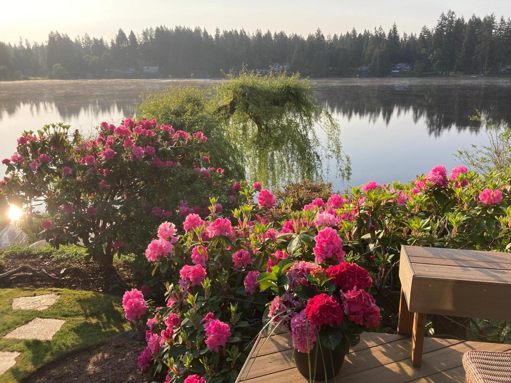 Cottage Lake Bed And Breakfast Woodinville Exterior foto